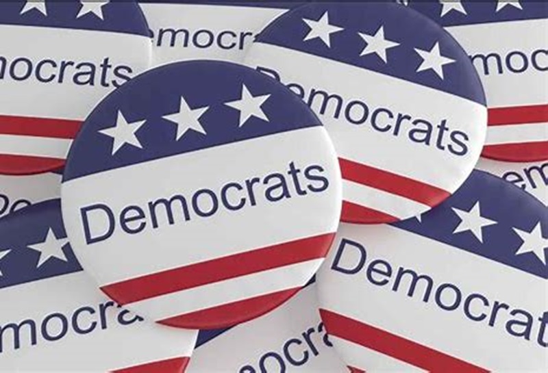 Article – What is the Democrats Intent?