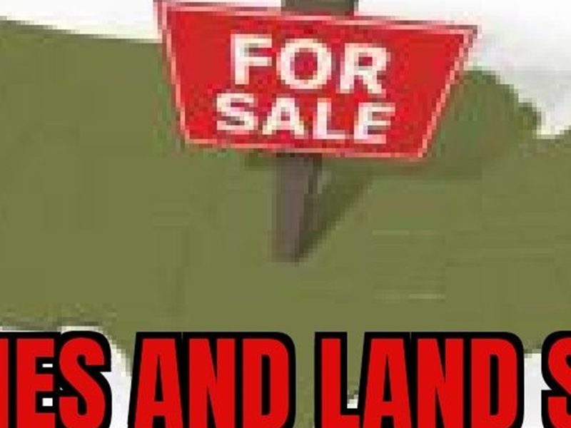 America For Sale; Homes and Land Sold to Foreigners
