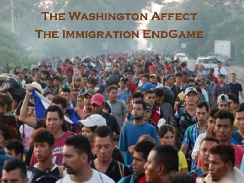 The Immigration Endgame The Immigration Endgame