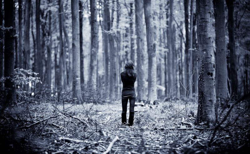 Lost in the Political Wilderness Lost in the Political Wilderness