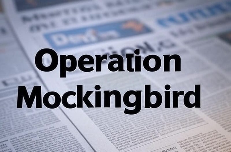 DNI Tulsi Gabbard States That Operation Mockingbird is Still Active DNI Tulsi Gabbard States That Operation Mockingbird is Still Active