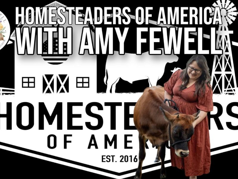 Homesteaders of America with Amy Fewell Homesteaders of America with Amy Fewell