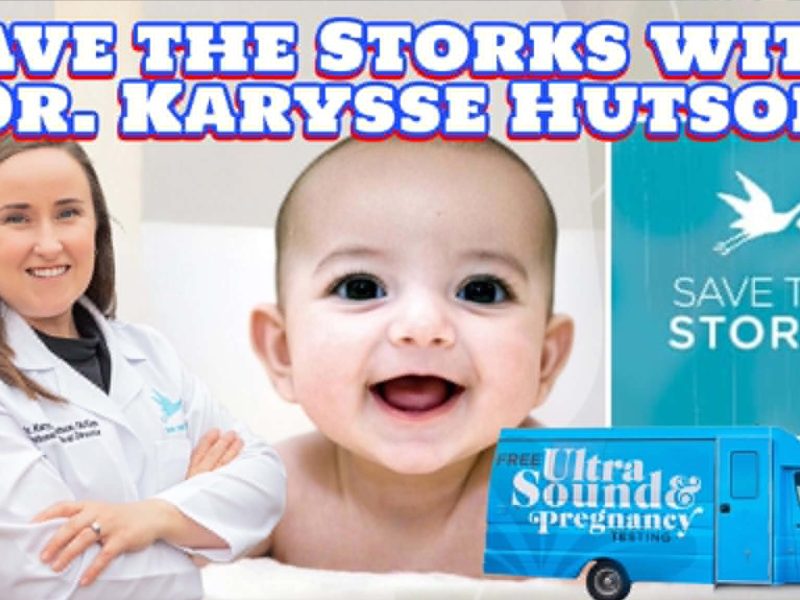 Save the Storks with Dr. Karysse Hutson Save the Storks with Dr. Karysse Hutson